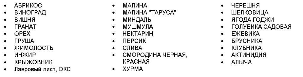 карт2.PNG