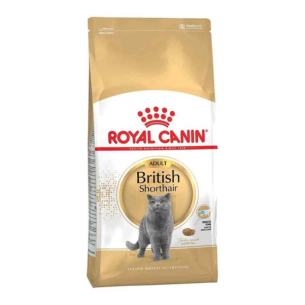 Корм для кошек Royal Canin British Shorthair (2кг) 620x620 в Материке