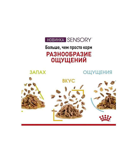 Корм для кошек Royal Canin Sensory Smell кусочки в желе (85г) 438x503 в Материке - Вариант 2