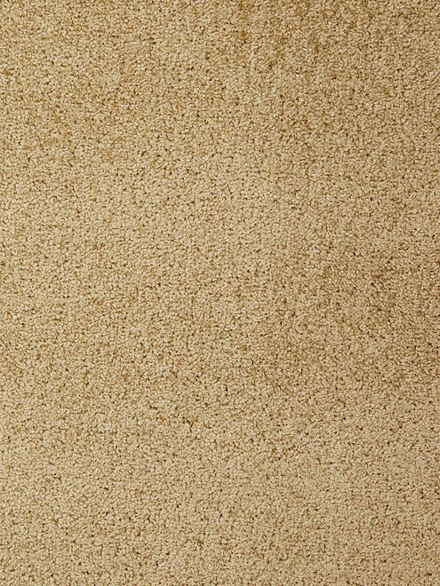 Ковровое покрытие DYNASTY 71 beige, 4м 495x660 Ковровое покрытие DYNASTY 71 beige, 4м 495x660 в Материке