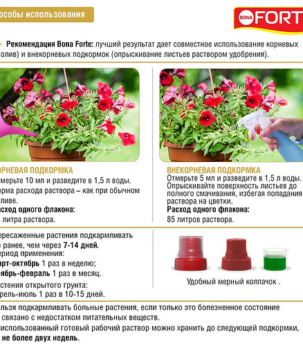Удобрение BONA FORTE КРАСОТА для петуний и балконных цветов (285мл) 438x503 в Материке - Вариант 2