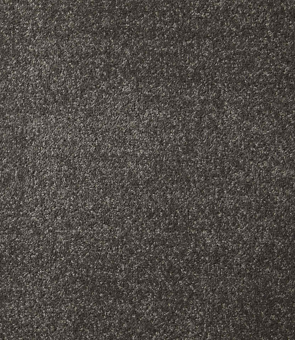 Ковровое покрытие DYNASTY 75 d.grey, 4м 586x674 в Материке