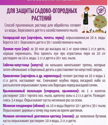 Деготь берёзовый (100мл) 438x503 в Материке - Вариант 3