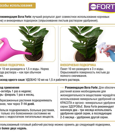 Удобрение BONA FORTE ЗДОРОВЬЕ для декор. растений (10мл) 438x503 в Материке - Вариант 2