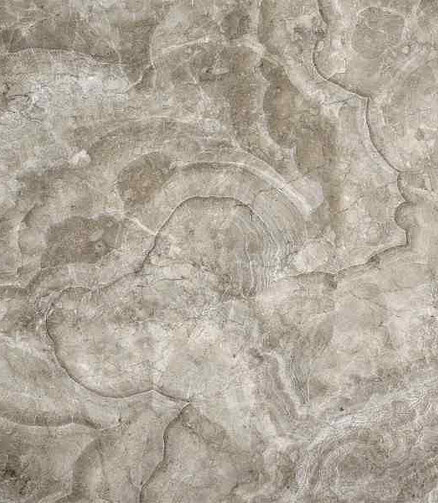 Керамогранит Beryoza Ceramica VELVET 50х50 см 1,5 м2 цвет бежевый 438x503 в Материке - Вариант 2