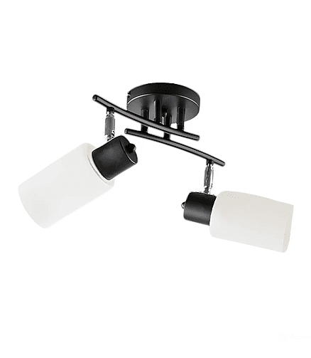 Светильник потолочный BL-2598/2 BK+CR 438x503 в Материке