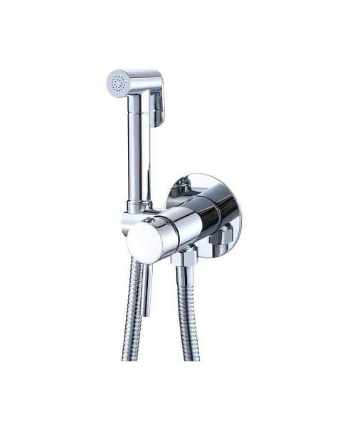 Смеситель GANZER GZ42101-Set (для биде, встраиваемый) с душ.комплектом 495x660 Смеситель GANZER GZ42101-Set (для биде, встраиваемый) с душ.комплектом 495x660 в Материке