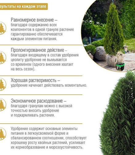 Удобрение BONA FORTE гранул. пролонг. для хвойных (1л) 438x503 в Материке - Вариант 2