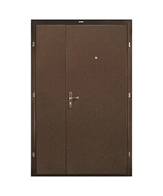 Дверь металлическая ПРОФИ-DL/2050х1250/L