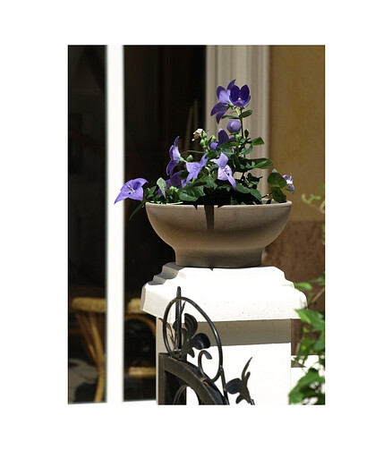 Горшок BASALT Misa M (32x13см) терракота коричневый T-014-021-31 438x503 в Материке - Вариант 3