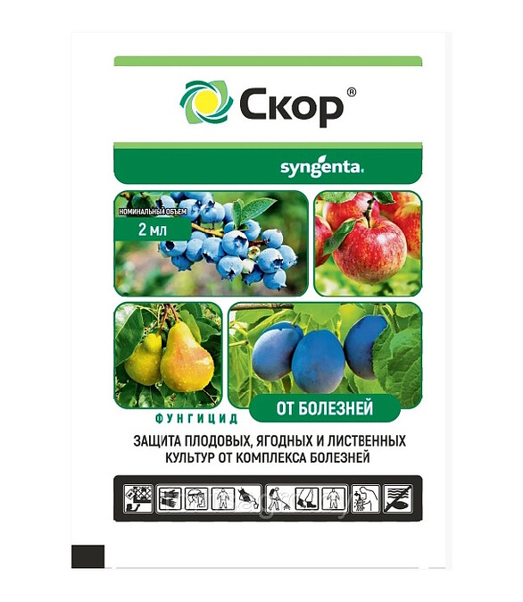 Скор КЭ, фунгицид (2мл) Syngenta, Агромаркет 586x674 Скор КЭ, фунгицид (2мл) Syngenta, Агромаркет 586x674 в Материке