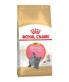 Корм для котят Royal Canin British Shorthair Kitten (0,4кг) 238x286 в Материке