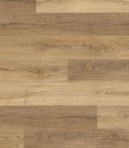 Ламинат EGGER-HOME/32/EHL049_ДУБ ЛИВИНГСТОУН НАТУР_Classic 438x503 в Материке