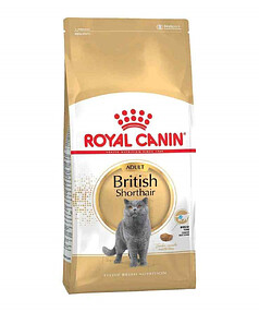 Корм для кошек Royal Canin British Shorthair (2кг) 238x286 в Материке