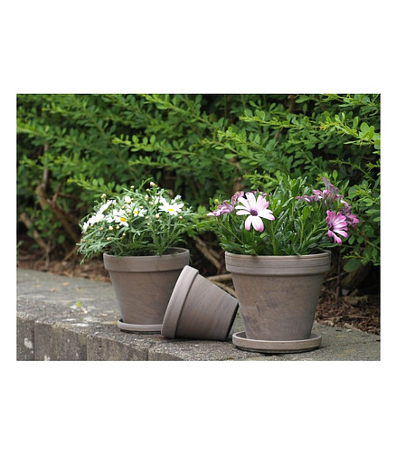 Горшок BASALT Prosta (20x17см) терракота коричневый T-001-025-18 438x503 в Материке - Вариант 2