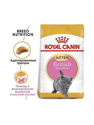 Корм для котят Royal Canin British Shorthair Kitten (0,4кг) 238x286 в Материке - Вариант 2