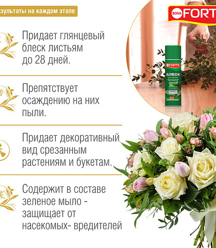 Блеск для листьев BONA FORTE (500мл) 438x503 в Материке - Вариант 2