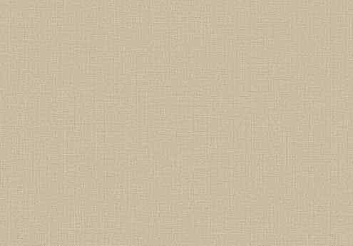 Виниловые обои 10215-25 ERISMANN 0.53*10м 495x660 Виниловые обои 10215-25 ERISMANN 0.53*10м 495x660 в Материке