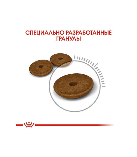 Корм для кошек Royal Canin Digestive Care (0,4кг) 438x503 в Материке - Вариант 3