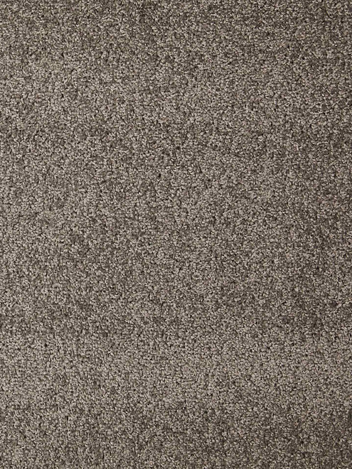 Ковровое покрытие DYNASTY 79 grey, 4м 495x660 Ковровое покрытие DYNASTY 79 grey, 4м 495x660 в Материке
