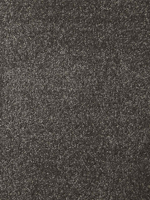 Ковровое покрытие DYNASTY 75 d.grey, 3м 495x660 Ковровое покрытие DYNASTY 75 d.grey, 3м 495x660 в Материке