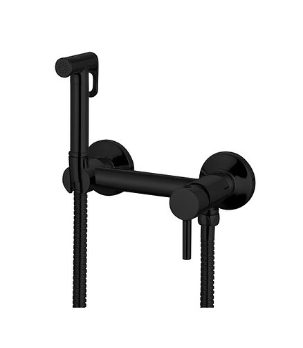 Смеситель GANZER GZ12202-C SET (для биде) с душ.комплектом, ЧЕРНЫЙ 438x503 в Материке