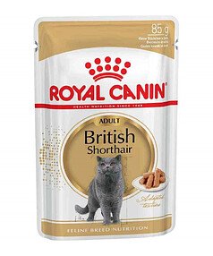 Корм для кошек Royal Canin British Shorthair кусочки в соусе (85г) 238x286 в Материке