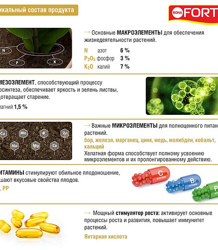 Удобрение BONA FORTE КРАСОТА для комнатных растений (285мл) 438x503 в Материке - Вариант 3