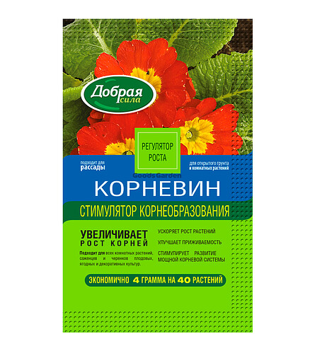 Корневин ДОБРАЯ СИЛА (4г) 438x503 в Материке