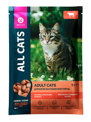 Корм для кошек ALL CATS Adult тефтельки с говядиной в соусе (85г) 238x286 в Материке