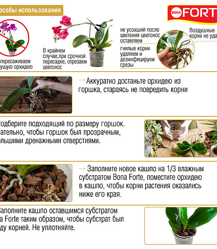 Субстрат для орхидей BONA FORTE (1л) 438x503 в Материке - Вариант 3