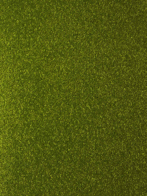 Ковровое покрытие DYNASTY 41 green, 4м 495x660 Ковровое покрытие DYNASTY 41 green, 4м 495x660 в Материке