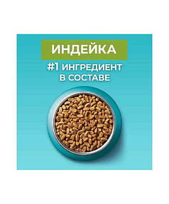 Корм для кошек Purina ONE для домашних, цельные злаки, индейка (0,2кг) 238x286 в Материке - Вариант 4