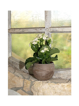 Кашпо BASALT Kula (12x9см) терракота коричневый T-057-126-12-T 238x286 в Материке - Вариант 2