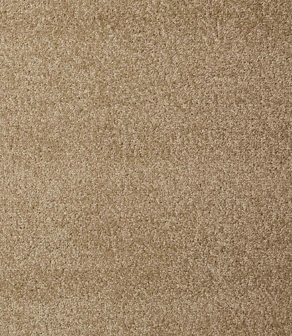 Ковровое покрытие DYNASTY 91 sand, 4м 586x674 Ковровое покрытие DYNASTY 91 sand, 4м 586x674 в Материке