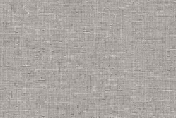 Виниловые обои 10099-11 ERISMANN 0.53*10м 586x674 Виниловые обои 10099-11 ERISMANN 0.53*10м 586x674 в Материке