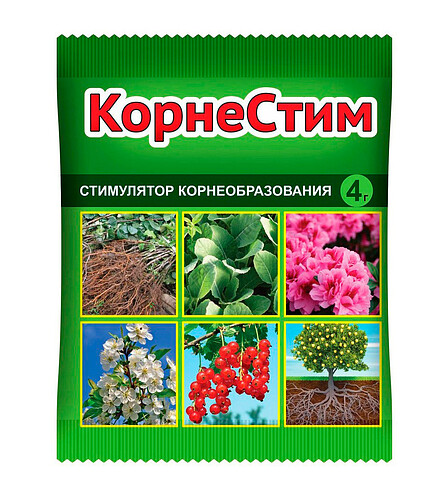 Средство КОРНЕСТИМ Стимулятор корнеобразования (4г) 438x503 в Материке