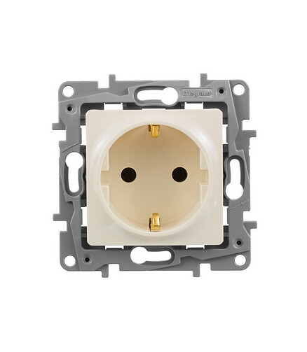 Розетка Legrand ETIKA 672321 1мест. с/з сл.кость 438x503 в Материке