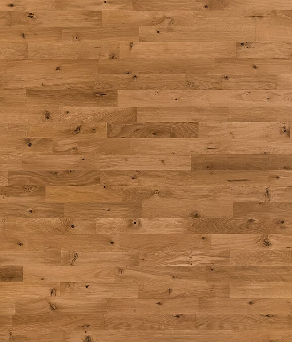 Паркет FOCUS FLOOR_KARELIA ДУБ ZEPHYR OILED 3-Strip 586x674 в Материке