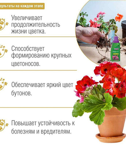 Удобрение BONA FORTE ЗДОРОВЬЕ для декор.-цветущих (285мл) 438x503 в Материке - Вариант 3