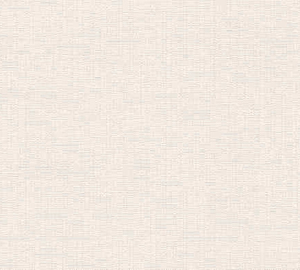 Виниловые обои 10230-02 ERISMANN 0.53*10м 438x503 в Материке