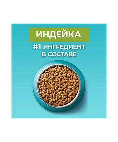 Корм для кошек с чувств. пищев. Purina ONE с выс. содерж. индейки/рисом (750г)