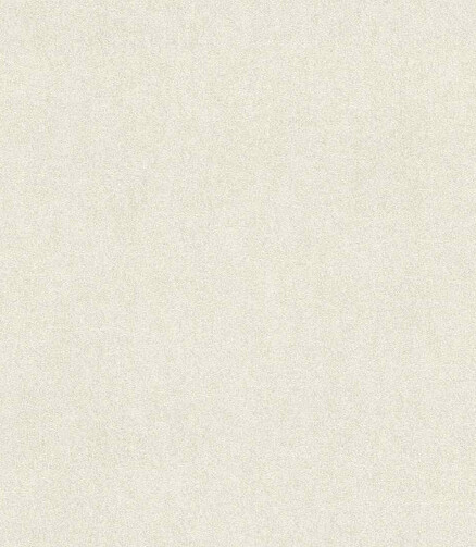 Обои 550009 RASCH 0.53*10м 438x503 в Материке
