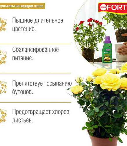 Удобрение BONA FORTE ЗДОРОВЬЕ для роз и хризантем (285мл) 438x503 в Материке - Вариант 3