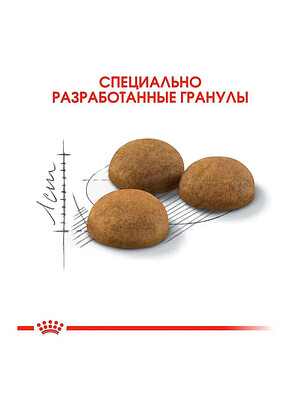 Корм для кошек Royal Canin Indoor Long Hair (0,4кг) 238x286 в Материке - Вариант 3