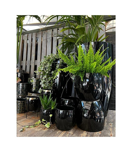 Горшок PIANO (20х20см) керамика черный арт.31.070.20 438x503 в Материке - Вариант 2