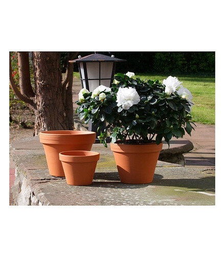 Горшок NATUR Prosta (25,8x22,1см) терракота кирпичный T-001-001-24-P 438x503 в Материке - Вариант 2