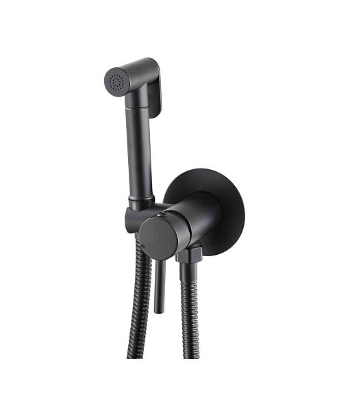 Смеситель GANZER GZ42101-C SET (для биде) встраиваемый (черный) с душ.комплектом 495x660 Смеситель GANZER GZ42101-C SET (для биде) встраиваемый (черный) с душ.комплектом 495x660 в Материке
