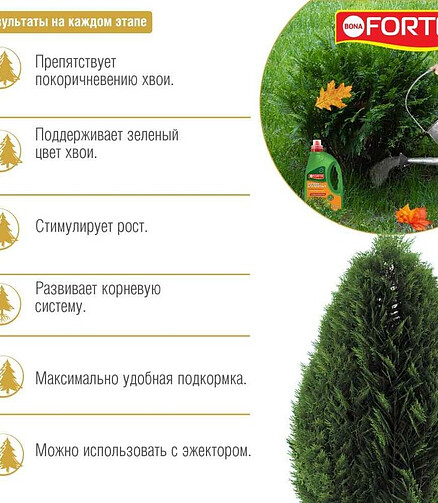 Удобрение BONA FORTE для хвойных лето-осень (1,5л) 438x503 в Материке - Вариант 2