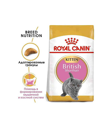 Корм для котят Royal Canin British Shorthair Kitten (0,4кг) 438x503 в Материке - Вариант 2